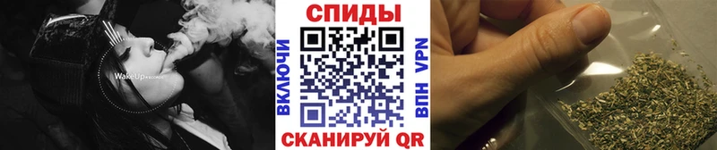kraken рабочий сайт  Онега  БУТИРАТ оксана 