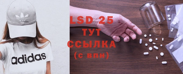 ГАЛЛЮЦИНОГЕННЫЕ ГРИБЫ Балахна