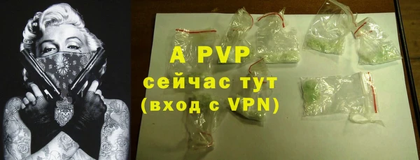 стаф Баксан