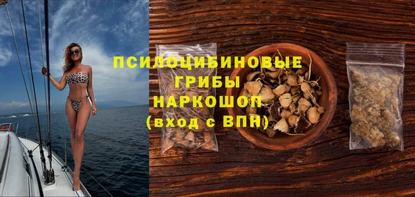 ГАЛЛЮЦИНОГЕННЫЕ ГРИБЫ Балахна