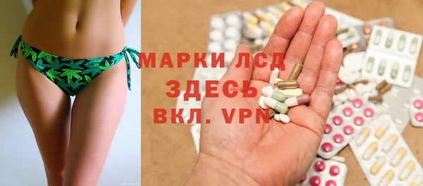 стаф Баксан