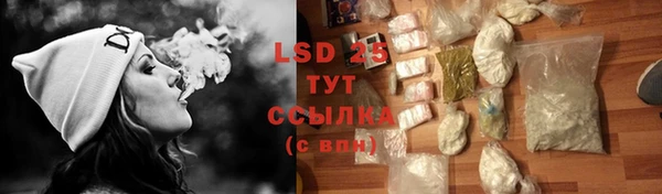 стаф Баксан