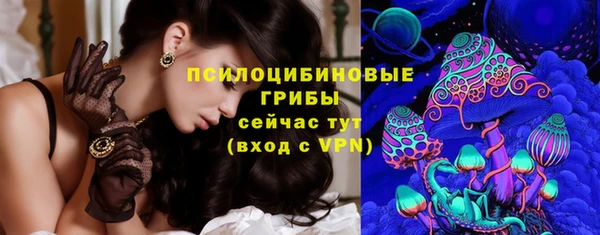 стаф Баксан