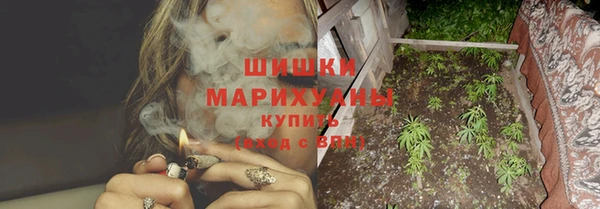 ГАЛЛЮЦИНОГЕННЫЕ ГРИБЫ Балахна