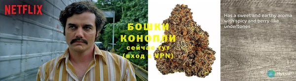 ГАЛЛЮЦИНОГЕННЫЕ ГРИБЫ Балахна