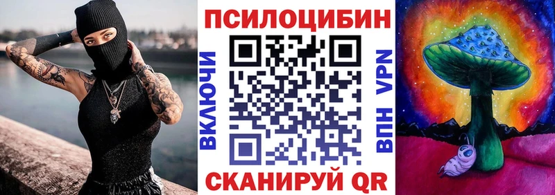 kraken зеркало  Онега  Галлюциногенные грибы GOLDEN TEACHER 